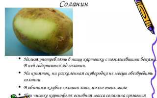 Что делать если отравиться зеленой картошкой