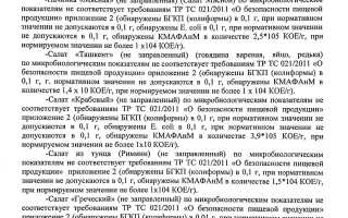 В гуме нашли кишечную палочку