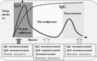 Кровь на краснуху токсоплазмоз и их нормы