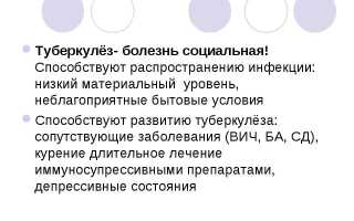 Этиология и патогенез туберкулеза презентация