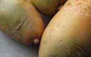 Можно ли есть мясо свиньи после отравления