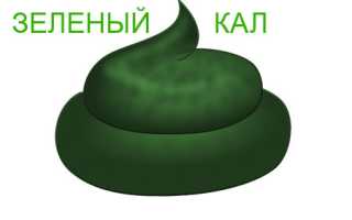 Причины зеленого стула у взрослого