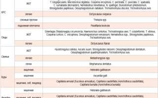 Что такое дегельминтизации животных при нематодозах