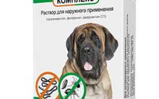 Признаки заражения глистами у собак