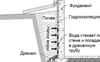 Систематика типа круглые черви латынь