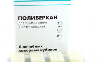 Котенок с улицы гельминты