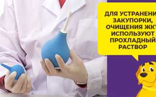 Можно ли делать клизму собаке при глистах