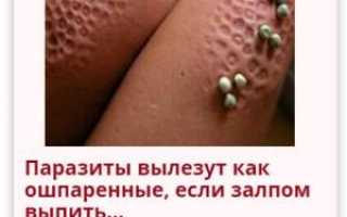 Растения паразиты живущие на деревьях