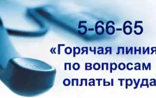 Социальная реабилитация больных туберкулезом